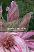 Spirit Seizures Stories