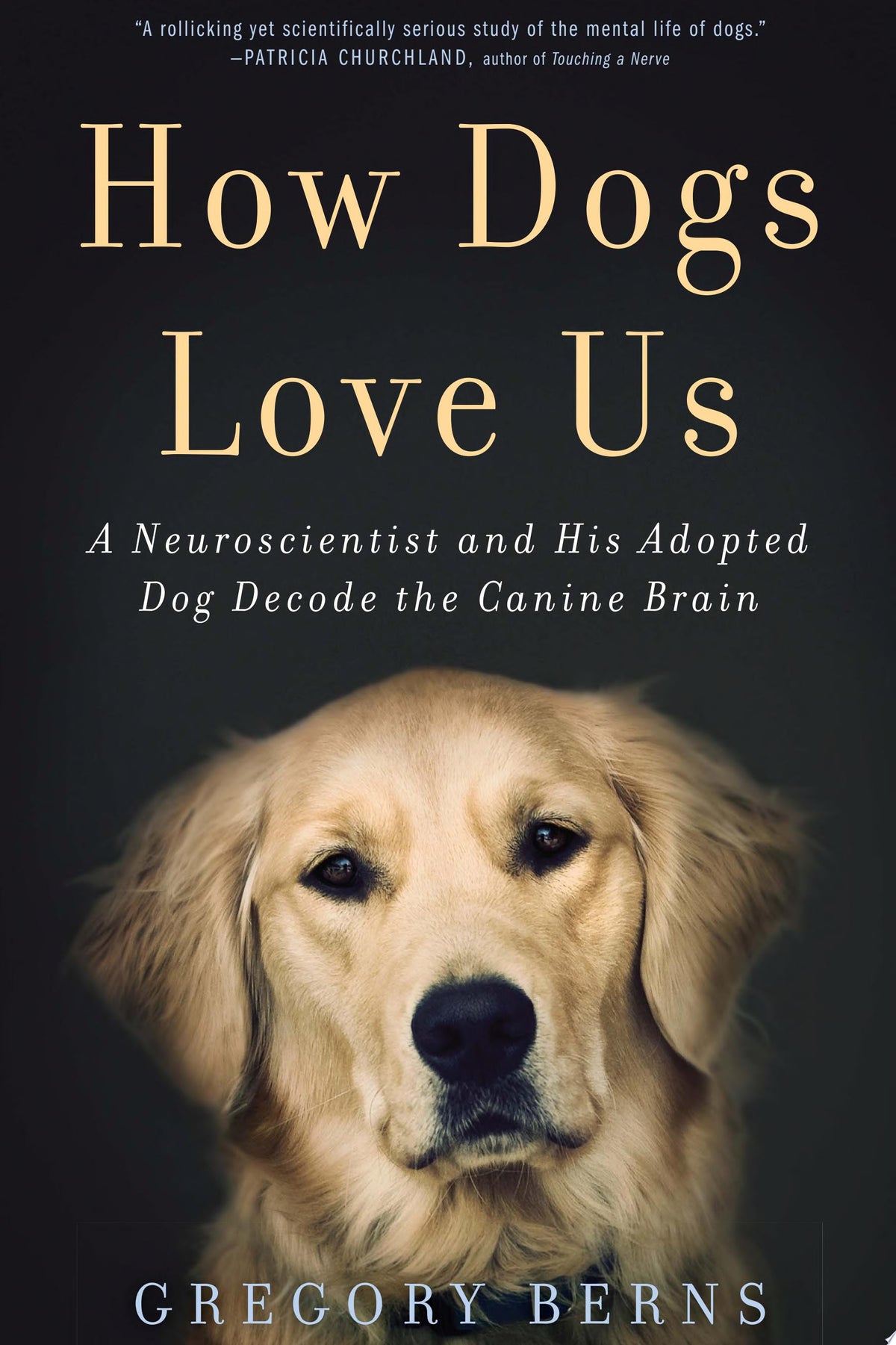 How dogs love us: a neuroscientist and his adopted dog decode the canine brain