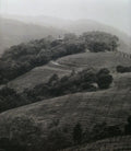 Observations from the Hillside