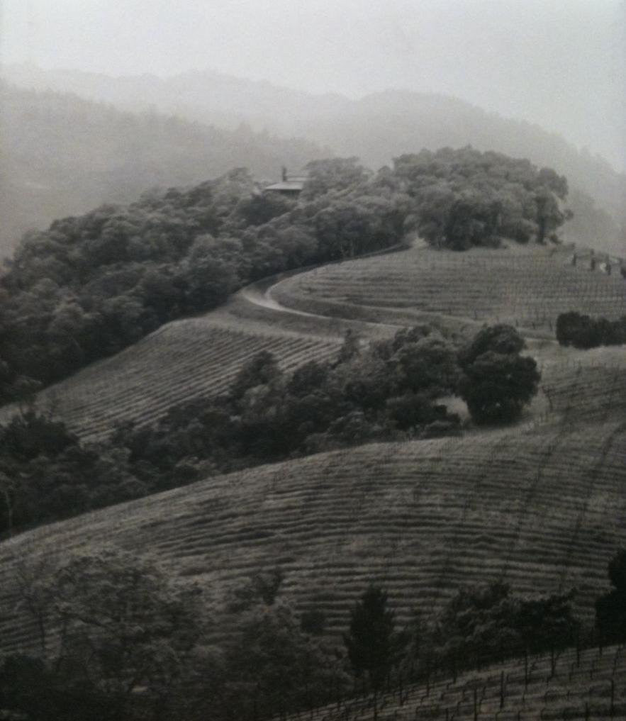 Observations from the Hillside