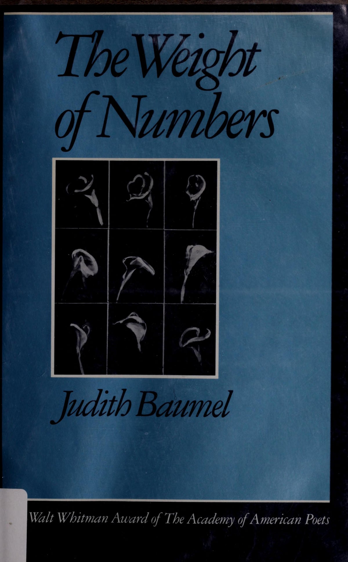 The Weight of Numbers