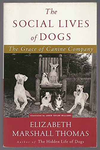 The social lives of dogs: the grace of canine company