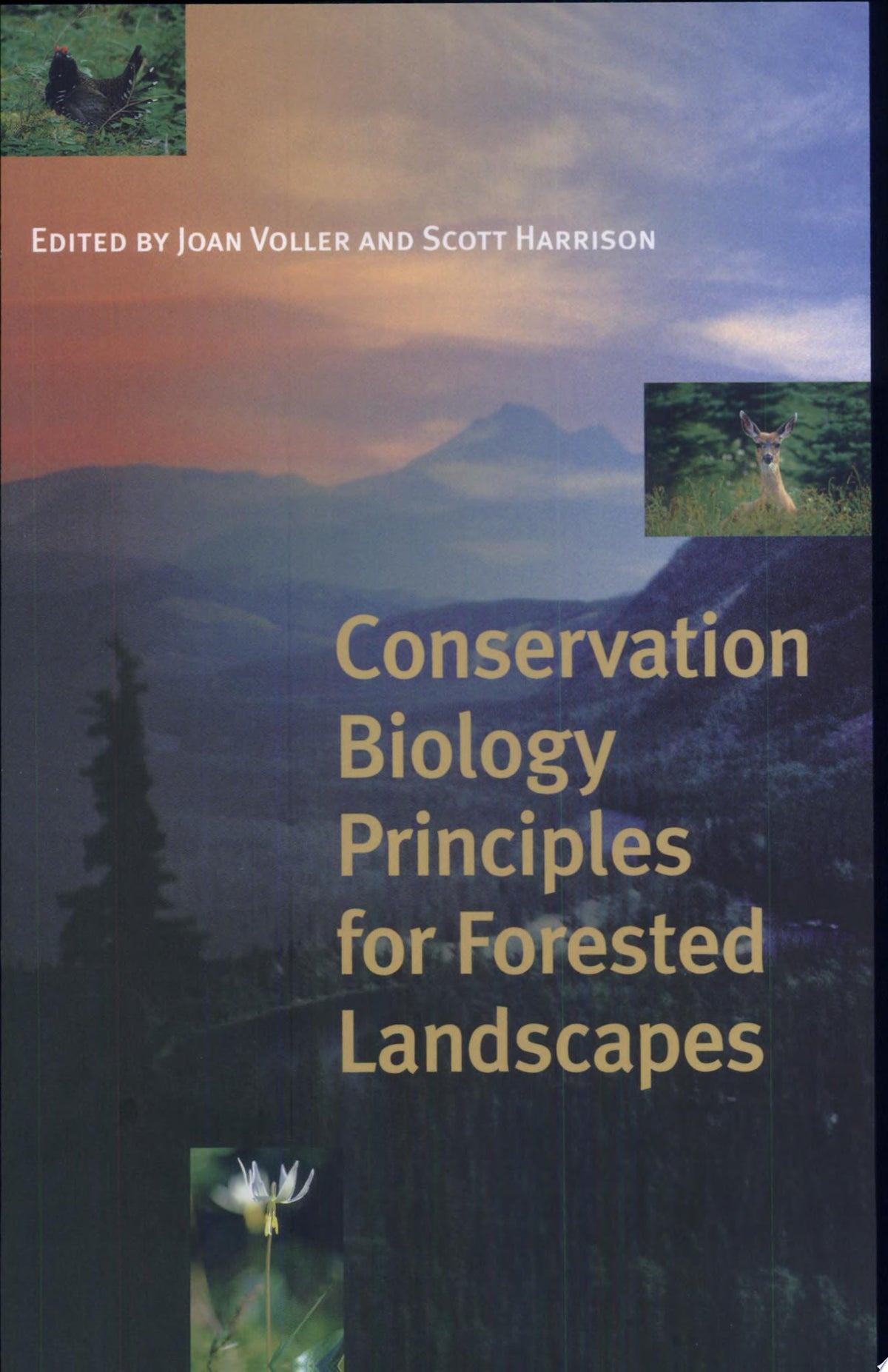 Conservation biology principles for forested landscapes