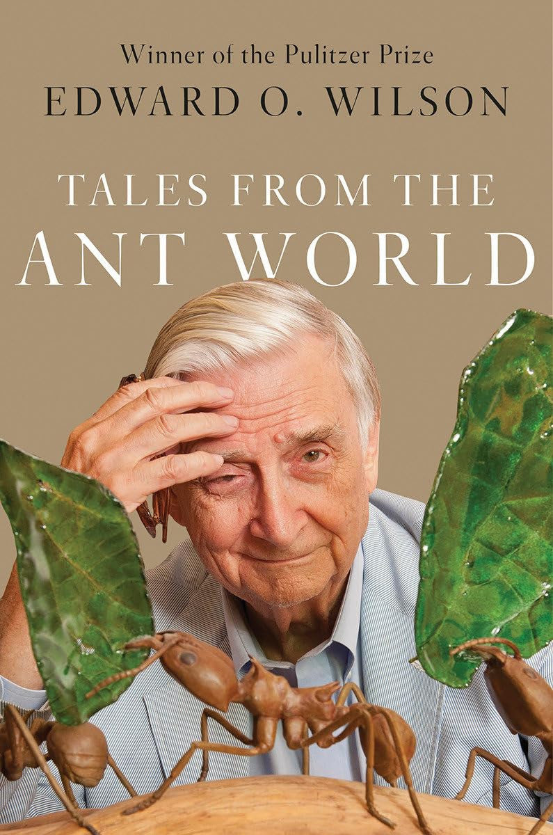 Tales from the ant world