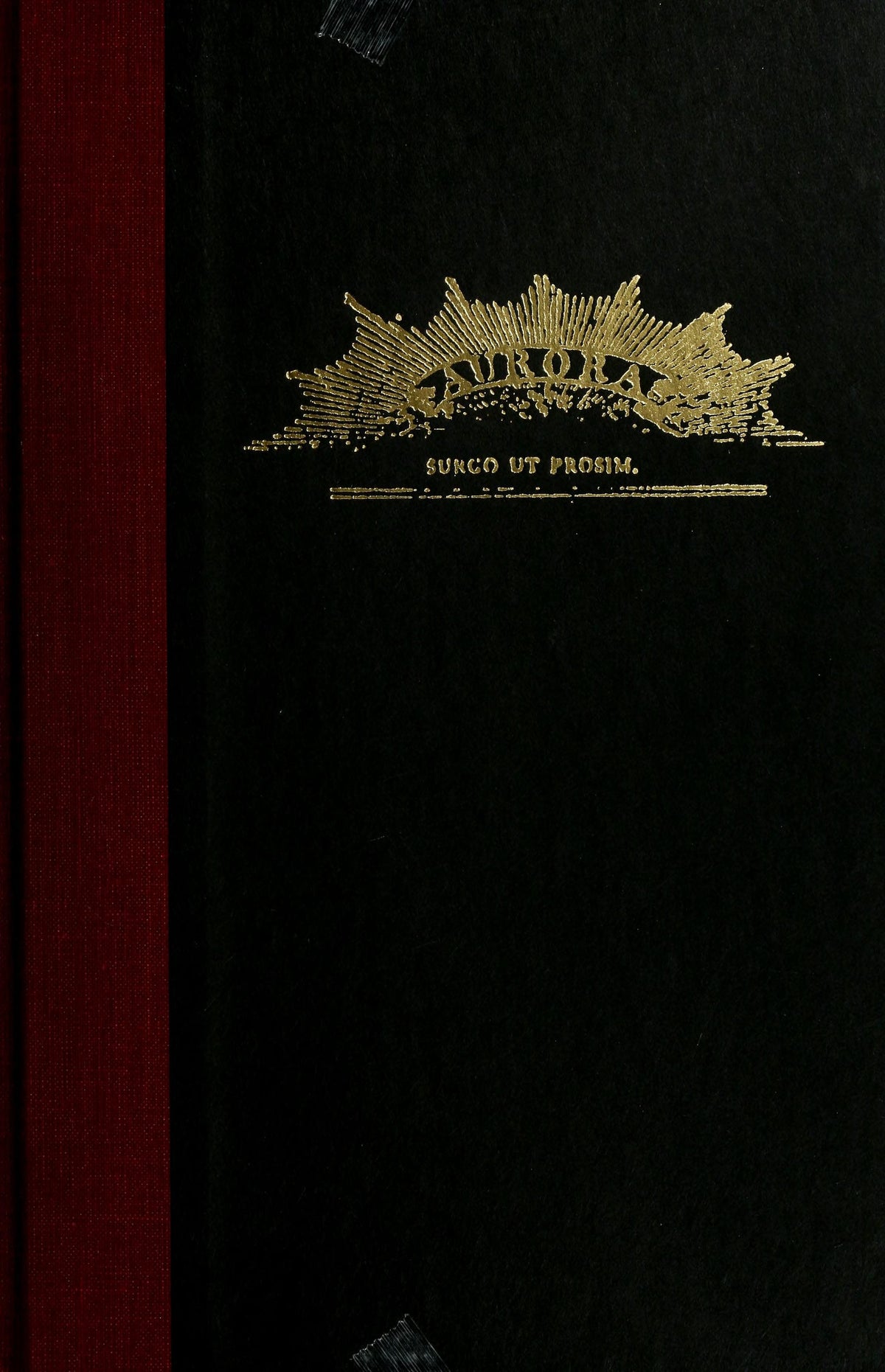 American Aurora A Democratic-Republican Returns : the Suppressed History of Our Nation's Beginnings and the Heroic Newspaper that Tried to Report it