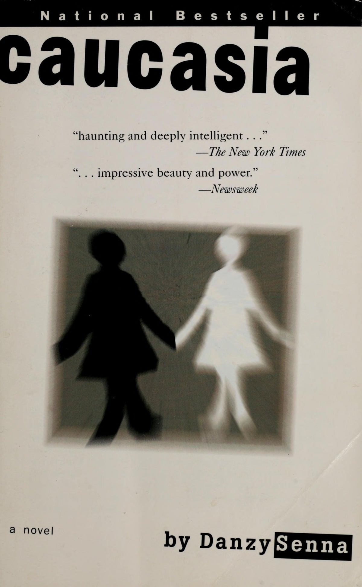 Caucasia A Novel