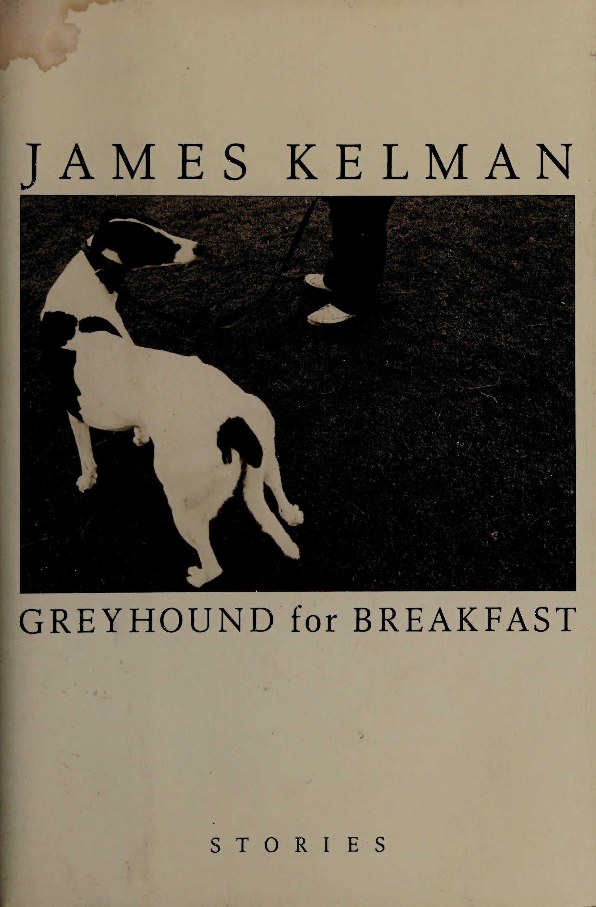 Greyhound for Breakfast