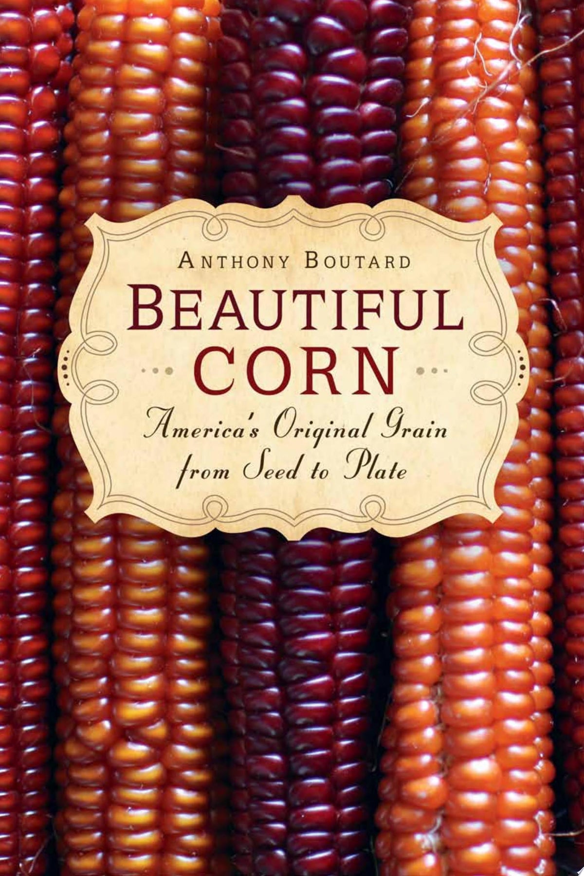Beautiful Corn America's Original Grain from Seed to Plate