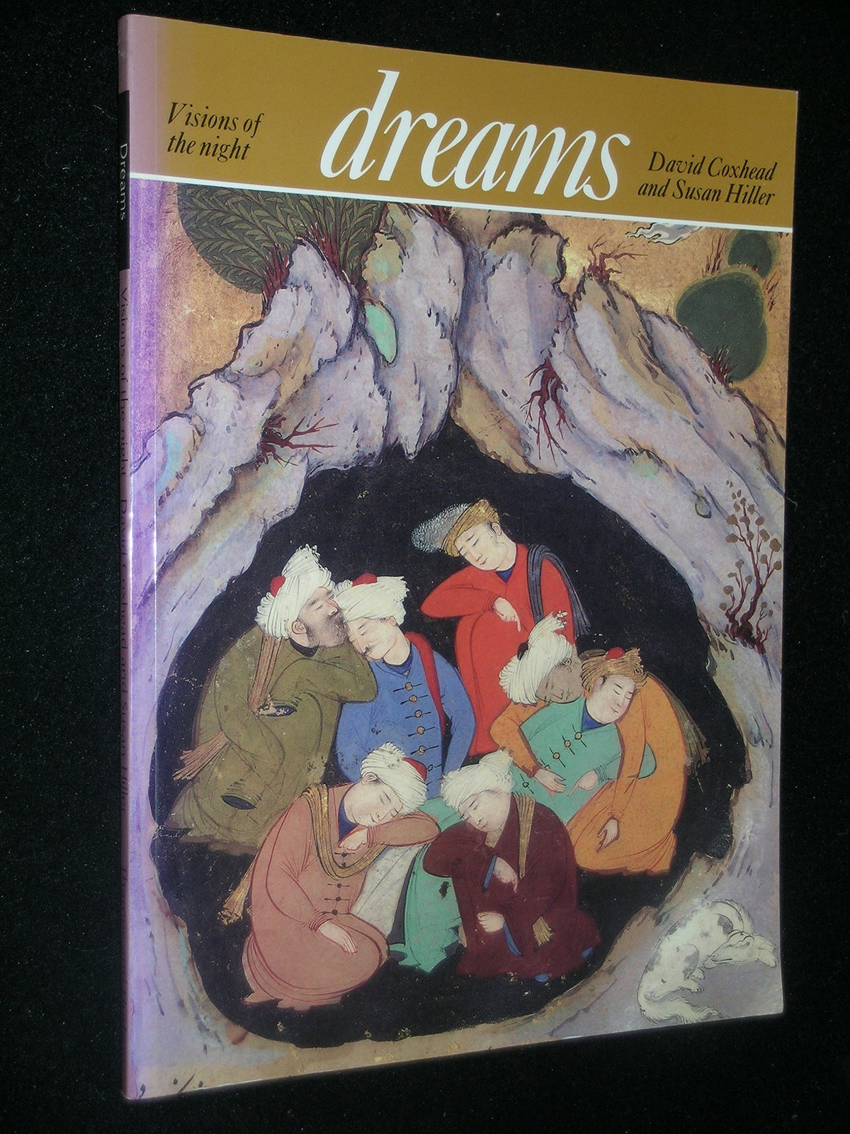 Dreams Visions of the Night